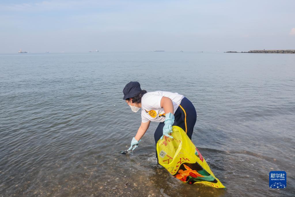 单机水果机无限币下载